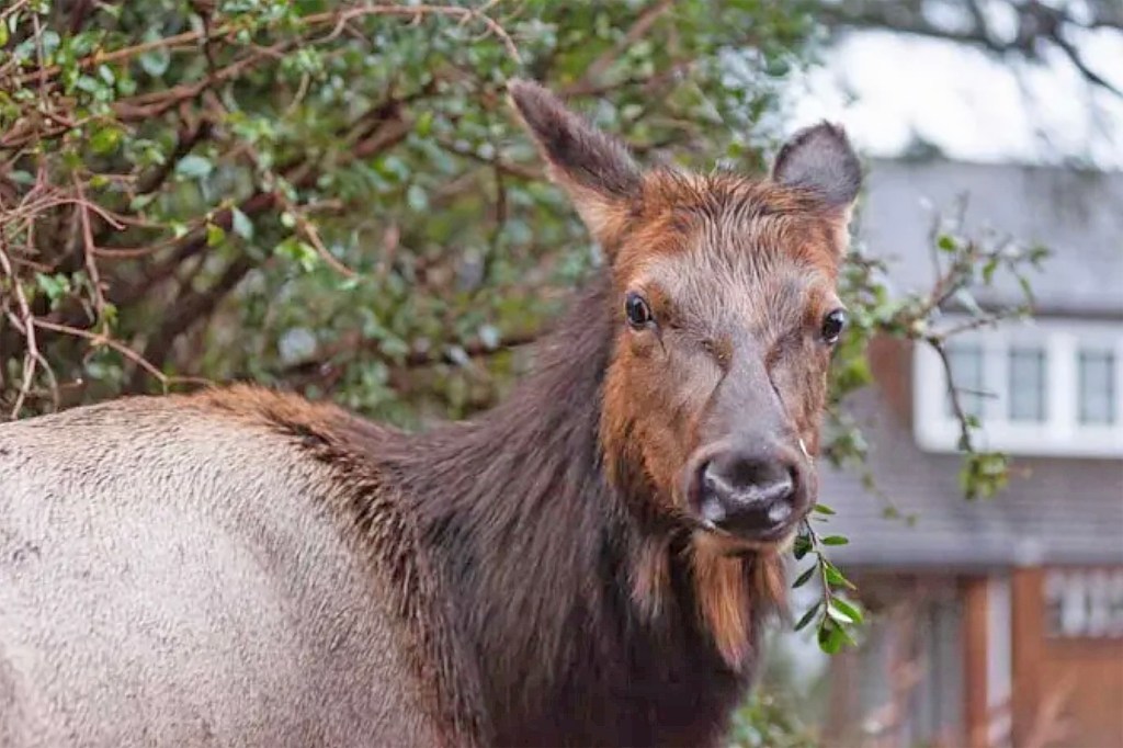 Analysis: Would you pay 1% more for wildlife?