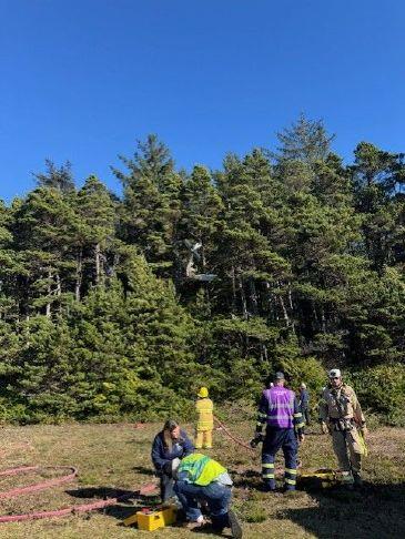 Plane crashes in trees in Waldport, pilot OK